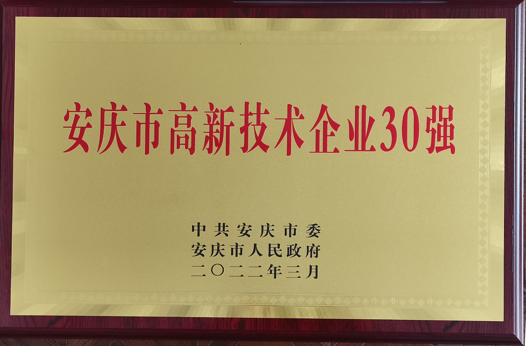我司獲得安慶市高新技術企業三十強稱號